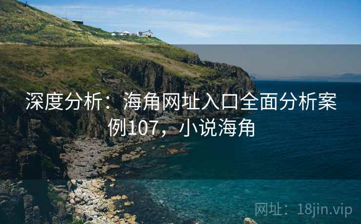深度分析：海角网址入口全面分析案例107，小说海角