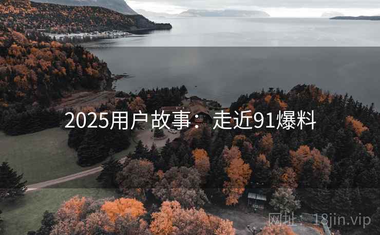 2025用户故事：走近91爆料