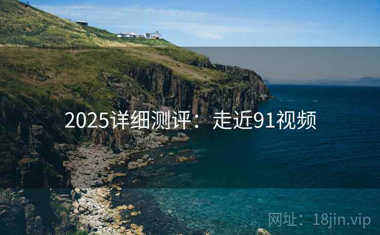 2025详细测评：走近91视频