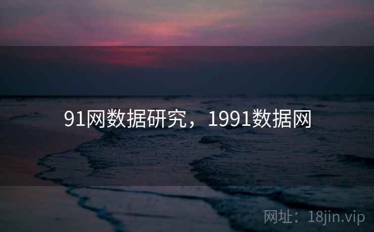 91网数据研究,1991数据网