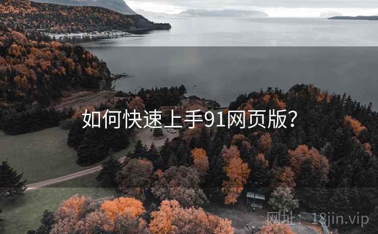 如何快速上手91网页版?