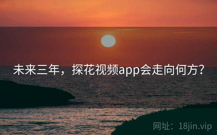 未来三年,探花视频app会走向何方?