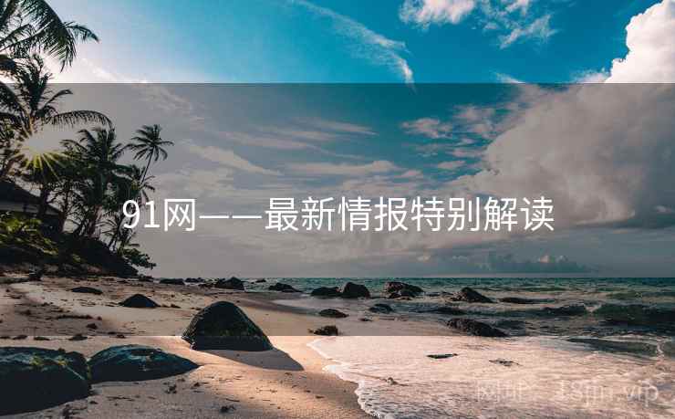 91网——最新情报特别解读