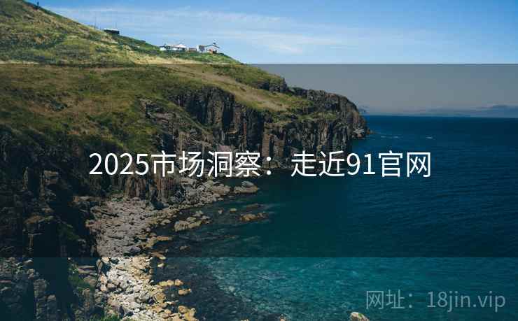 2025市场洞察：走近91官网