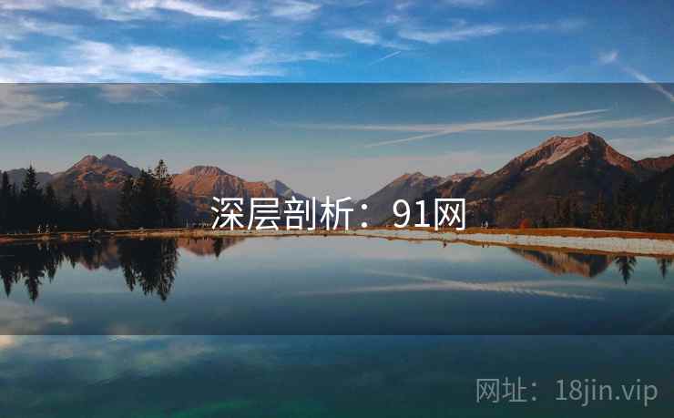 深层剖析：91网