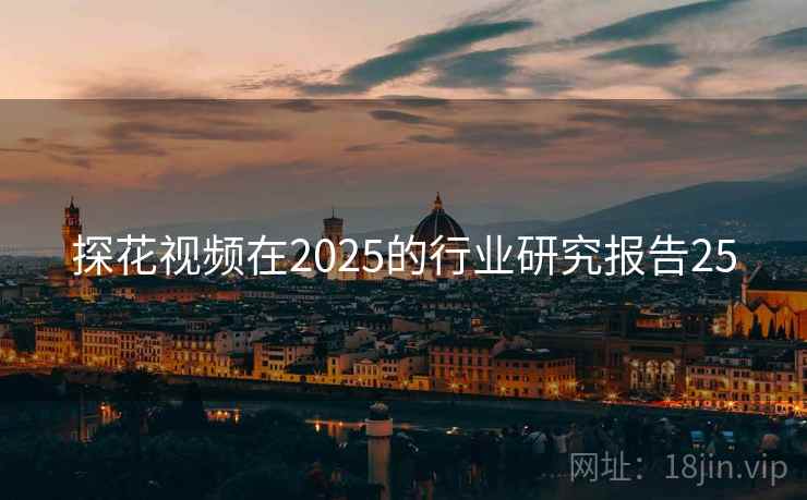 探花视频在2025的行业研究报告25