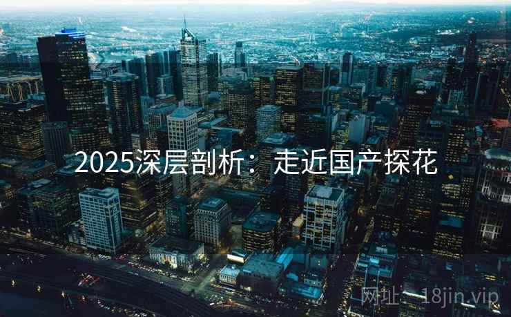 2025深层剖析：走近国产探花