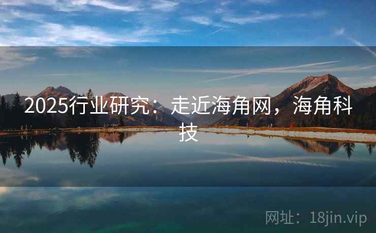 2025行业研究：走近海角网，海角科技