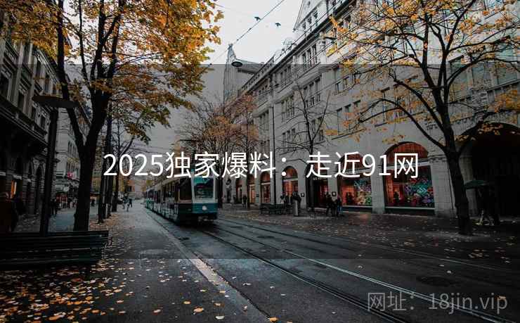 2025独家爆料:走近91网