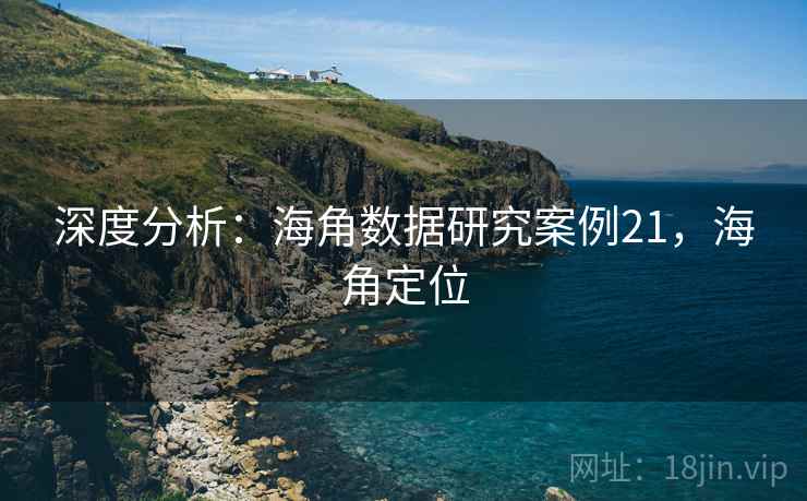 深度分析:海角数据研究案例21,海角定位